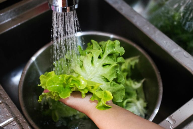 Icosa Water Washing Vegetables