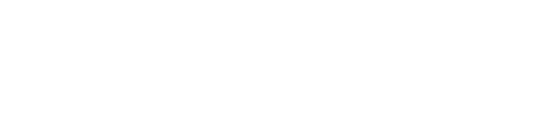 Lastmile Logo